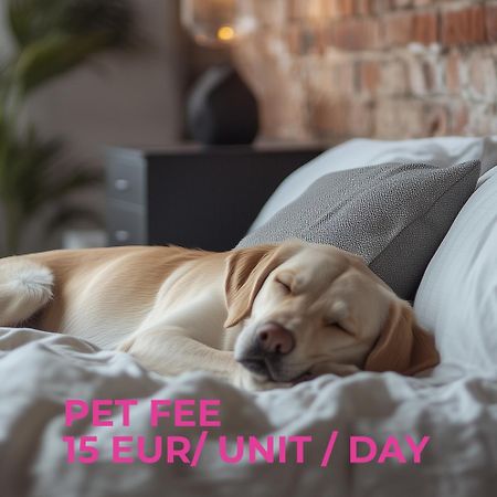 Cute Apartment Siauliai Free Parking Εξωτερικό φωτογραφία